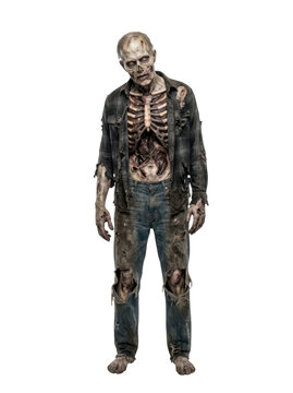 Full body shot of a terrifying zombie with exposed rib cage isolated on transparent background