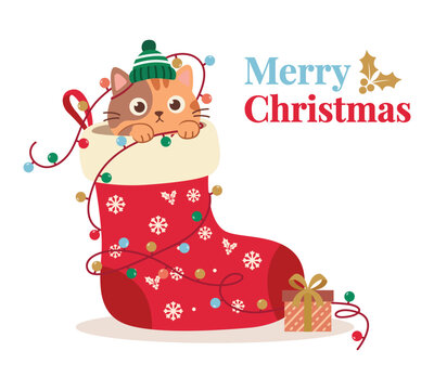 Cute cat wearing hat inside Christmas stocking with fairy lights and gift box. Merry Christmas greeting card flat illustration isolated on white.