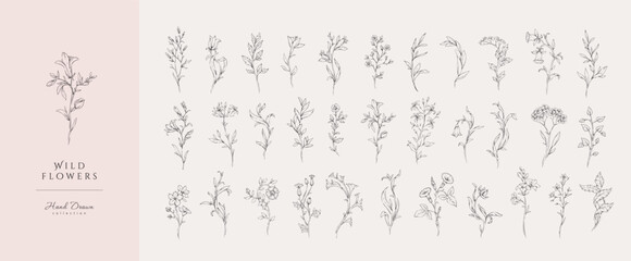 Obraz premium Set of whimsical drawing various flowers. Hand drawn floral collection for wedding invitation, wallpaper art or save the date card. Botanical vector