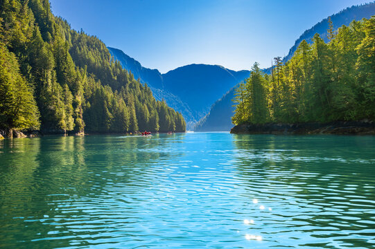 Scenic View of Rudyerd Bay in Misty Fjords National Monument, Alaska