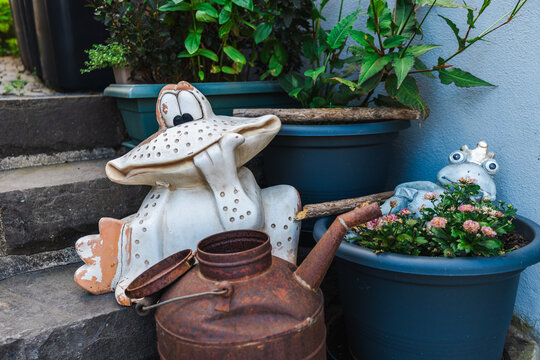 Whimsical Frog Garden Decor with Rusty Watering Can