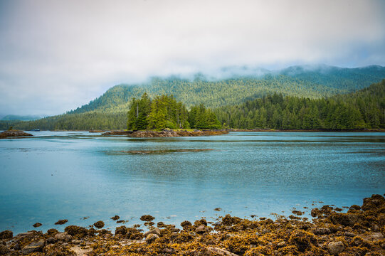 Scenic Coastal Landscape of Morse Basin near Butse Rapids in Prince Rupert, British Columbia, Canada