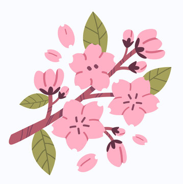 Blooming sakura cherry blossom branch with pink flowers, buds, green leaves, and falling petals. Cartoon vector illustration
