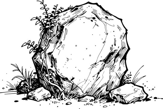 Large natural rock surrounded by plants and smaller stones in hand drawn black and white