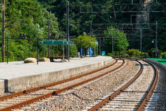 Smooth S-Curve Railway Tracks Beside Forested Station Platform