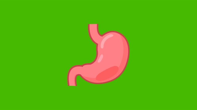 Digestive Health Medical Icon Animation with Green Background. Full HD. 4K