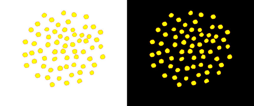 Yellow polka dot pattern set, hand drawn circular dots on white and black backgrounds, minimalist abstract spot texture for graphic design