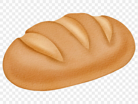 Rustic homemade bread loaf, watercolor bakery food illustration Vector.