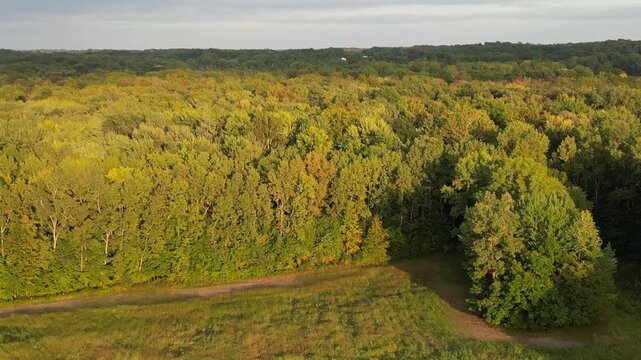 Aerial over Berrien Springs, Oronoko Charter Township, Michigan, United States. Rural farms, woods and properties. Near Lake Chapin, a dammed lake along the St. Joseph's River.
