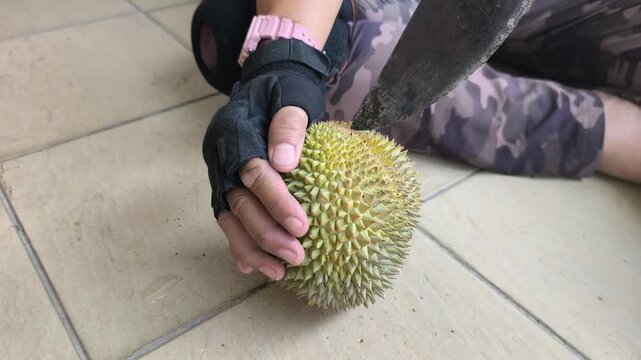 A person demonstrates the proper method to open a fresh durian. Using a sharp machete knife, they skillfully split the spiky husk. The rich yellow fruit pulp is neatly exposed.

