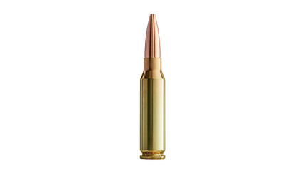 Shiny brass rifle cartridge with a copper jacketed bullet © Elodie