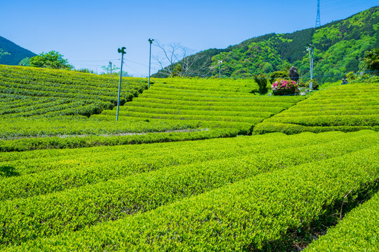 岐阜県　日本のマチュピチュ（上ヶ流 ）
