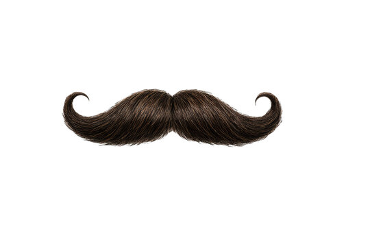 Brown classic handlebar mustache with thick hair texture isolated on transparent background perfect for man face grooming barber shop branding creative designs.