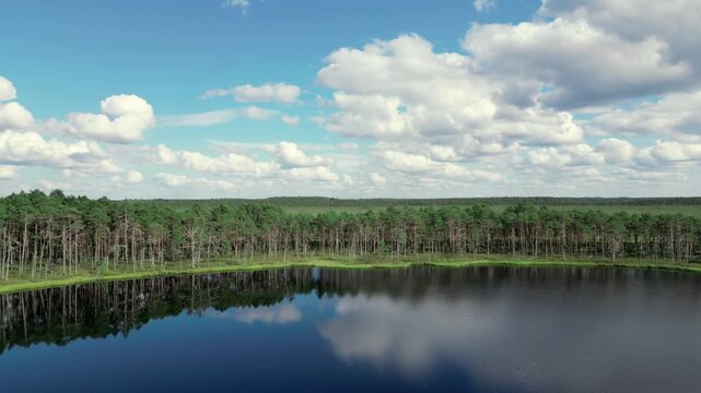 Panoramic aerial view of a dark blue bog lake in Latvia, mirroring a bright sky with cumulus clouds, bordered by a dense green pine forest under daylight