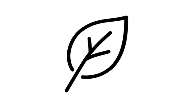 Single leaf contour icon for nature environment and ecology graphics.