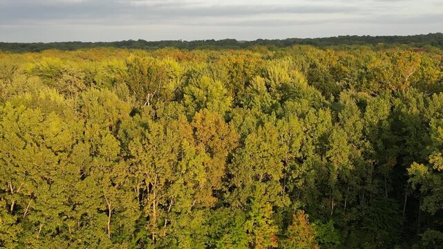 Aerial over a wooded area in Berrien Springs, Oronoko Charter Township, Michigan. A rural community with farms and lakeside / riverside home and vacation properties. 