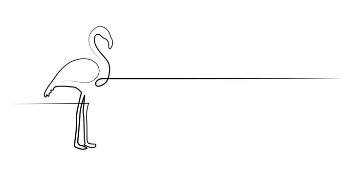 Flamingo line art, vector illustration
