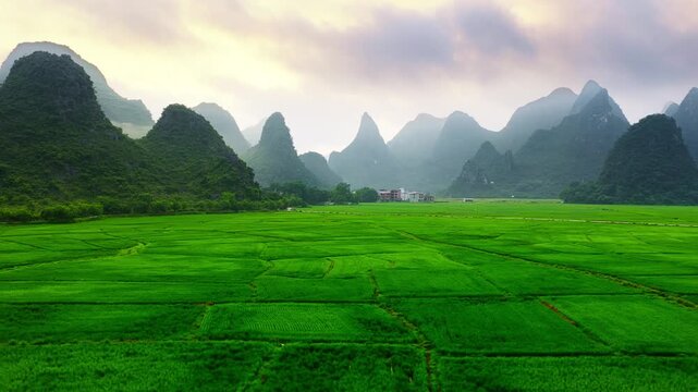 Vibrant green rice paddy fields stretch toward misty karst mountain peaks under a hazy, overcast sky in soft morning light.
