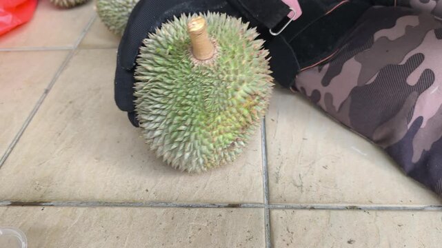 A person demonstrates the proper method to open a fresh durian. Using a sharp machete knife, they skillfully split the spiky husk. The rich yellow fruit pulp is neatly exposed.
