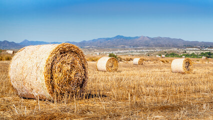 Murcia, Spain - A long paved road curves gently through dry countryside. A white line runs along the asphalt edge, and a speed limit sign stands roadside near scattered grassland, with trees and low h © GertJan