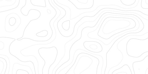White topographic contour line texture, minimalist geographic map pattern background, seamless abstract terrain vector art © MD.HUZZATULLAHISLAM