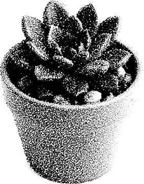Halftone succulent plant in pot - dotted retro grunge aesthetic with transparent stipple design