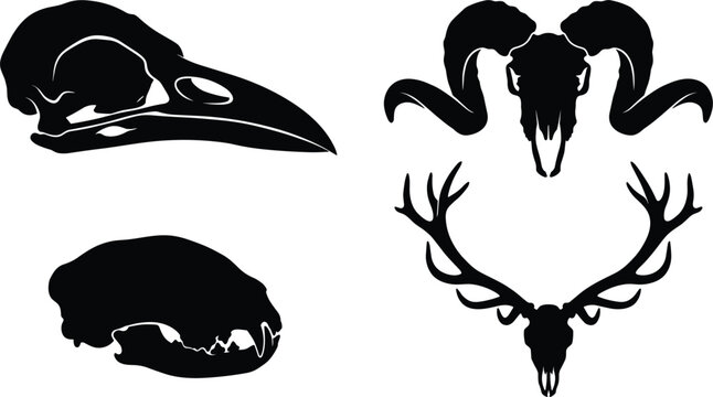 Gothic animal skulls vector icon set featuring a raven bird skull, ram skull with curved horns, sharp-toothed predator skull, and deer skull with large antlers isolated on white.