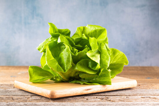 Raw Green Organic Butterhead Lettuce Ready to Eat