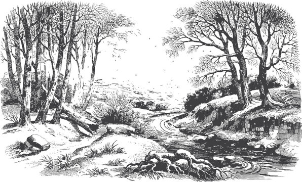 Winter forest river landscape engraving drawing bare trees snowy ground cold seasonal environment.