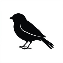 Obraz premium Christmas day, Black bird silhouette vector, minimalist sparrow or finch profile icon, standing songbird graphic for nature logos and wildlife branding isolated on White Background