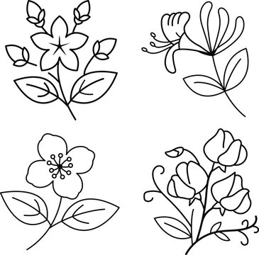 Exotic ornamental garden flowers line icons set isolated botanical decoration print project
