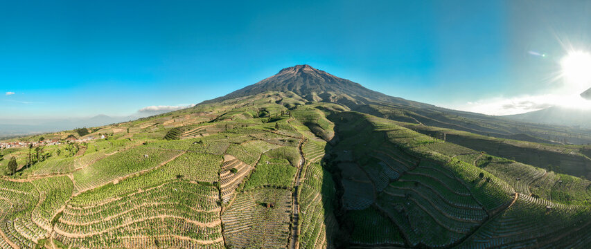 Aerial view of Glapansari Tobacco Plantation with lush green terraced fields on the slopes of a mountain under a clear blue sky in Parakan, Central Java, Indonesia.