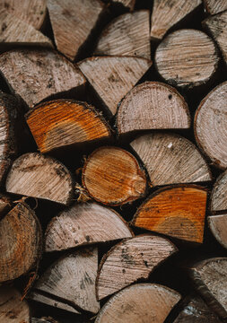 stack of firewood