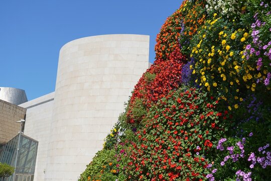 Colorful flowers on the giant flower dog sculpture named Puppy, outside the Guggenheim art museum, in Bilbao, Spain