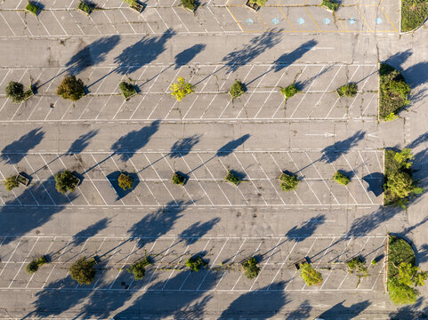 Aerial view of an empty parking lot with white painted lines and green trees casting long shadows across the asphalt in Ancona, Marche, Italy.