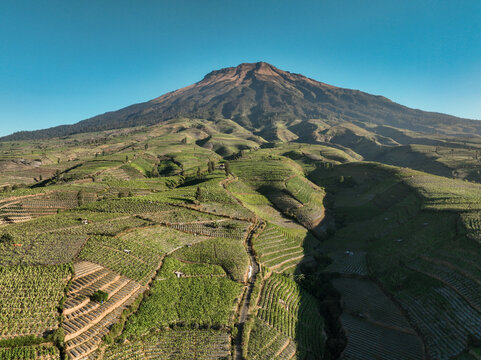 Aerial view of Glapansari Tobacco Plantation with terraced fields on the slopes of Mount Sumbing in Parakan, Central Java, Indonesia.