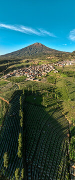 Aerial view of Canggal village surrounded by lush terraced agricultural fields and vibrant green plantations under a clear blue sky in Candiroto, Central Java, Indonesia.