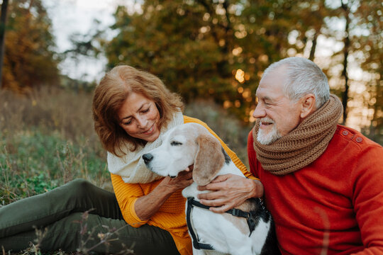 Senior couple walking dog in autumn forest.