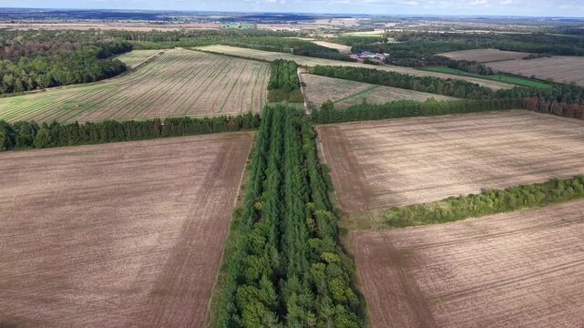 Aerial View Of Farmland With Tree-Lined Hedgerow Dividing Harvested Fields In Countryside