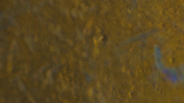 Real time 5x microscope macro of cross polarization changing on crystal growth and dissolution with tweezers