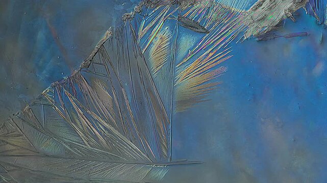 Real time macro video of explosive crystal growth with copy space and vibrant cross polarization effect