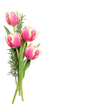 Photorealistic high end 3d cgi render of beautiful elegant white lily and minimalist flowers isolated on dark background for premium graphic design
