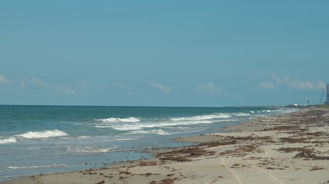 Blue ocean waves break along a wide sandy beach under a bright sky. Seaweed, shoreline, surf, and distant coast create a peaceful natural seascape.