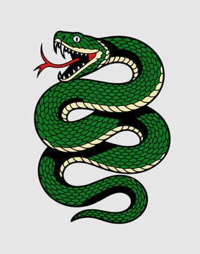 Snake Tattoo vintage illustration, retro design, old school vintage