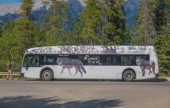 Canmore, AB, Canada - Sept 14, 2026: Roam Public Transit electric bus parked roadside with wolf graphic wrap and passenger loading bike.