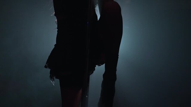 Pole dancer performing on a dark stage show.