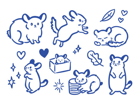 Chinchilla doodle set hand drawn cartoon vector illustration