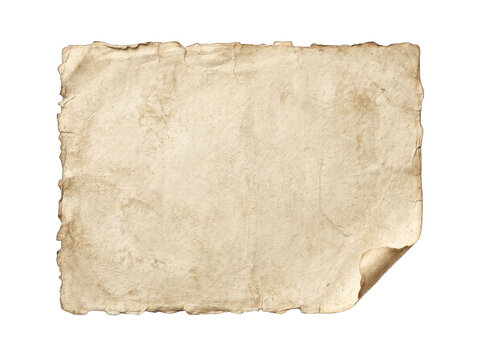 Old parchment paper texture with torn edge isolated on transparent background