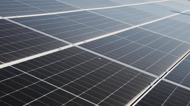Rows of solar panels in close view under soft daylight. Renewable energy, solar electricity and sustainable development concept.