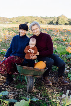 Happy family sitting in wheelbarrow with pumpkins on pumpkin patch. Selecting best pumpkins for Thanksgiving and Halloween holidays decoration on farm. Pumpkin harvest. Autumn fall festive mood